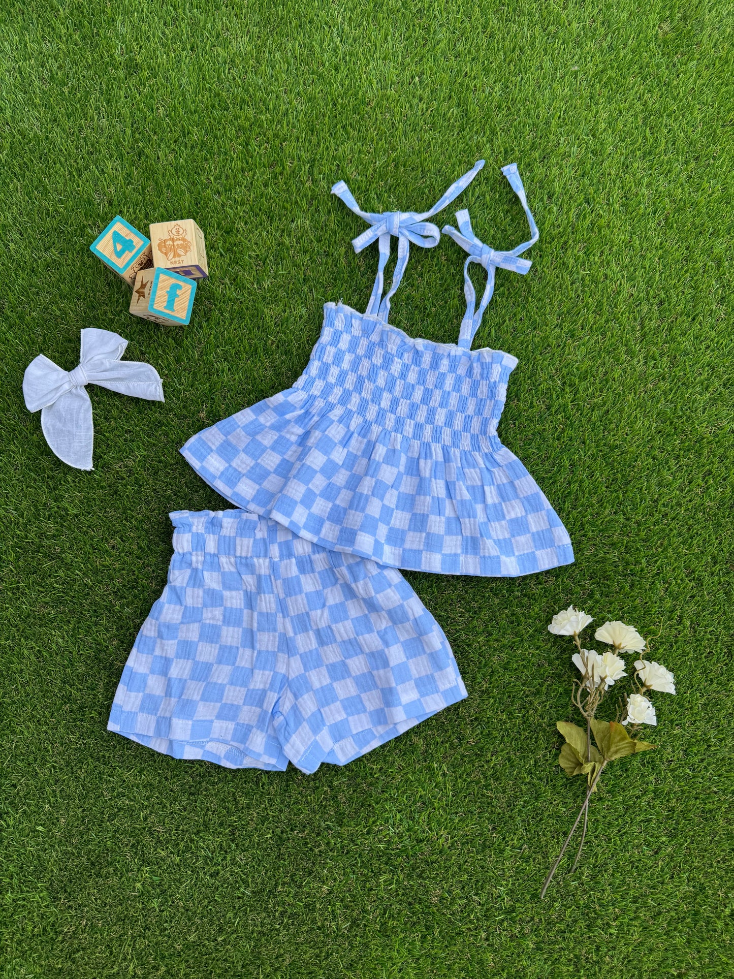 Blue Checkered Shorts & Tie Smocked Top