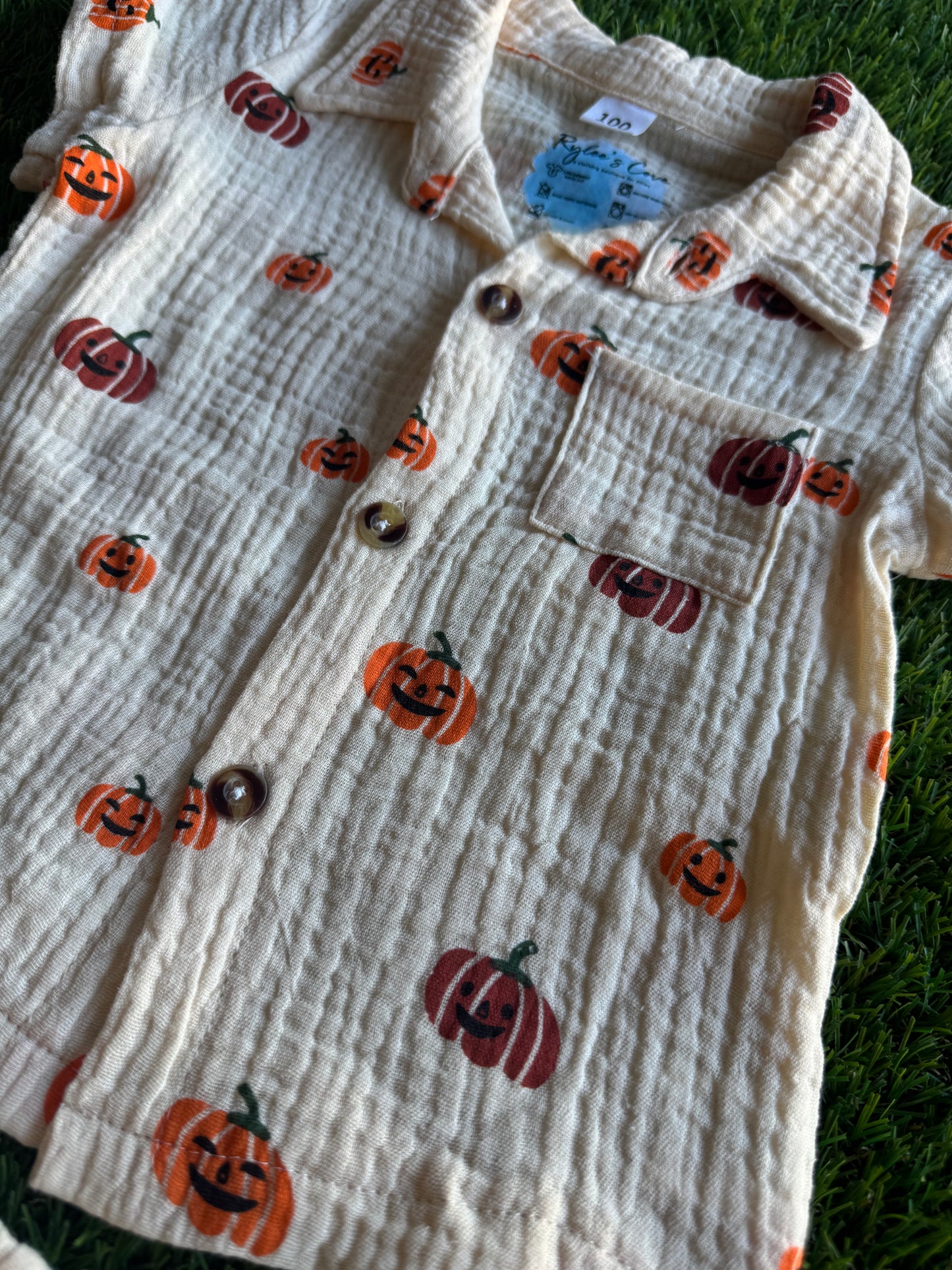 Pumpkin 2pc Set